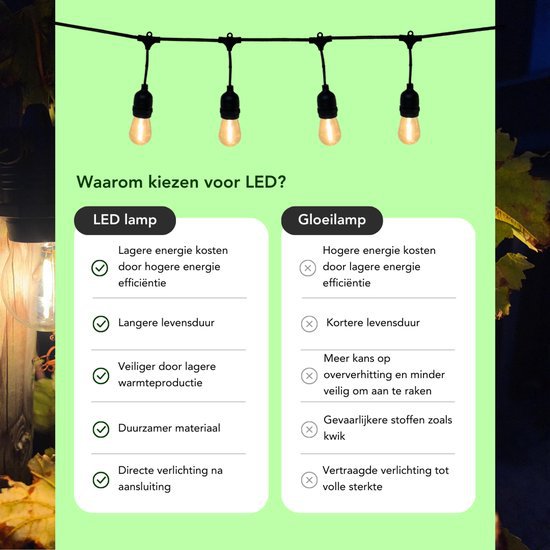 10 meter lichtsnoer met 10 peervormige LED lampen + 2 meter aansluitsnoer