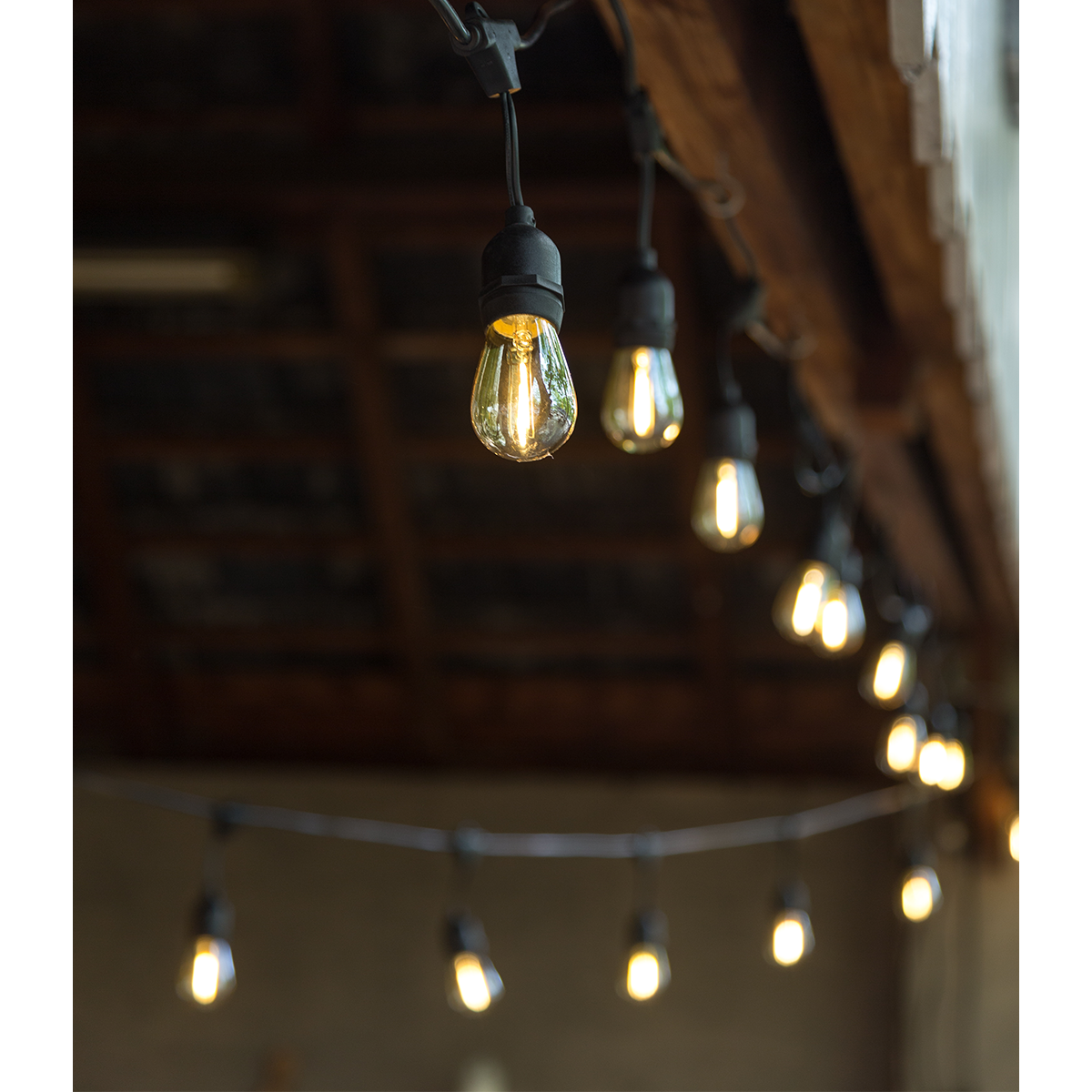 Premium Patio Lights