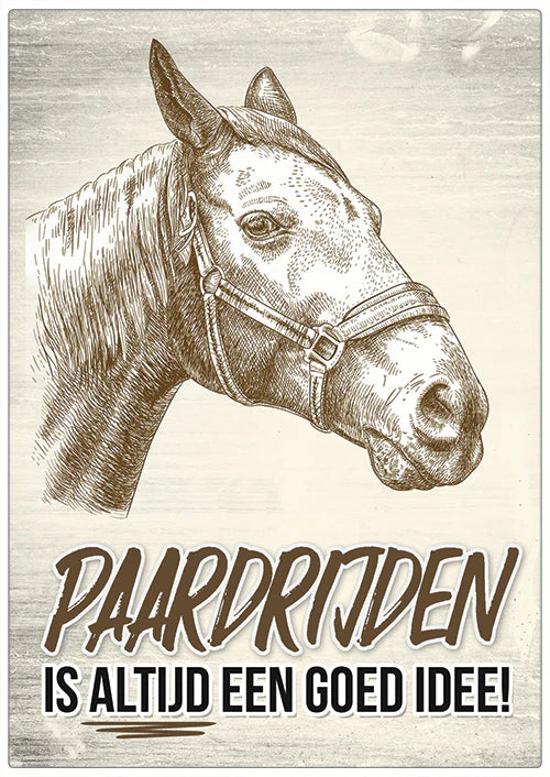 Paardrijden is altijd een goed idee!